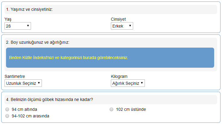 Özel Dinamik Anket Örnek 2