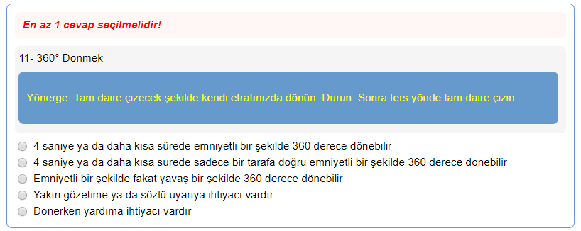 Özel Dinamik Anket Örnek 7