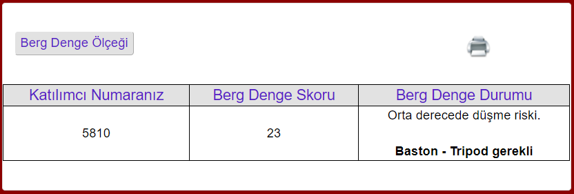 Özel Dinamik Anket Örnek 9