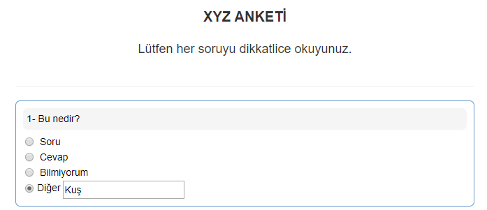 Klasik Anket Örnek 1