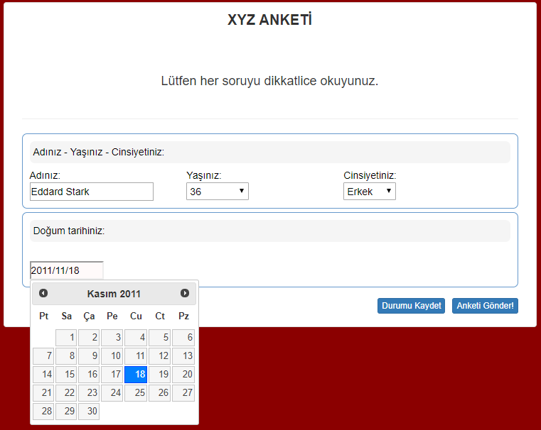 Klasik Anket Örnek 2