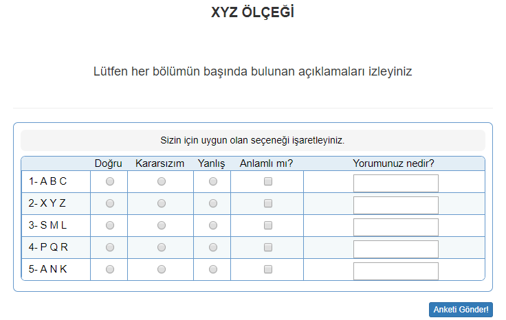 Likert Anket Örnek 2