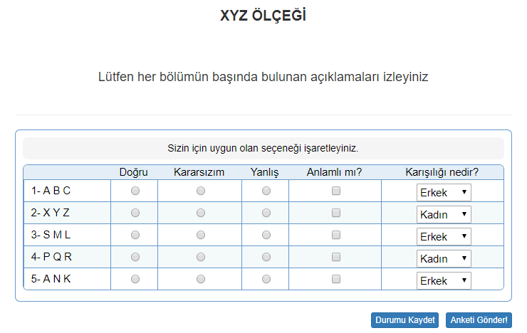 Likert Anket Örnek 3